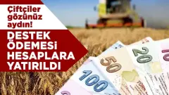 Destekler 472 Liraya Yükseldi Gübre ve Mazot Ödemesi İçin Cuma Gününü Bekleyin - Guckobir