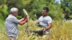 Musluklar Sonuna Kadar Açıldı Rakam Tam 100 Milyar Lira Üreticiye 60 Ay Vadeli Can Suyu Geliyor